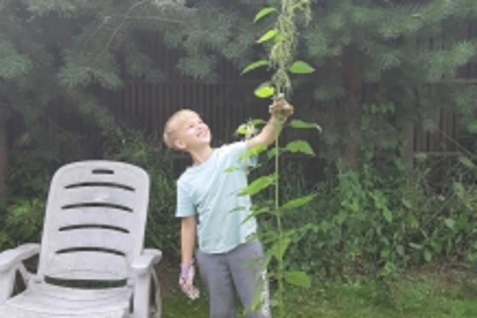 Народный календарь на 11 июля