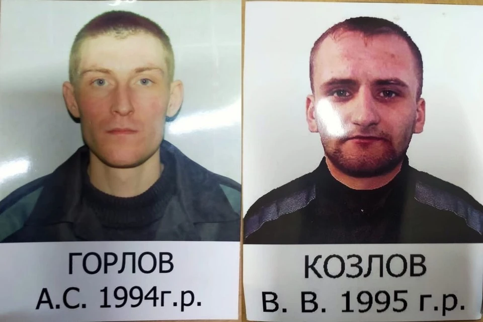 В Новосибирске из колонии сбежали два заключенных. Фото: соцсети