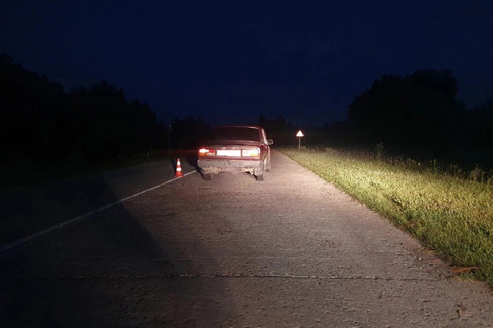 Фото: УГИБДД по Брянской области.