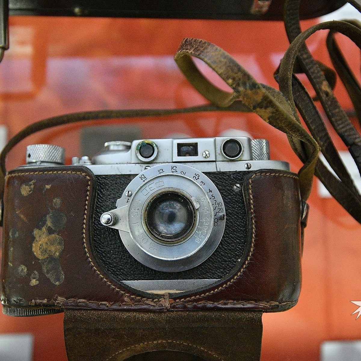 Фотографии С Фотоаппарата Дятловых