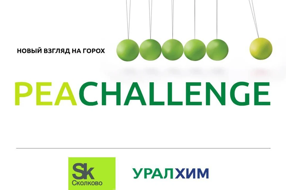 Фото: Пресс-служба Филиал «КЧХК»
