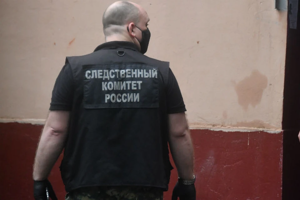 В Бурятии десятью ударами ножа закололи годовалого малыша, которого мама оставила у бабушки