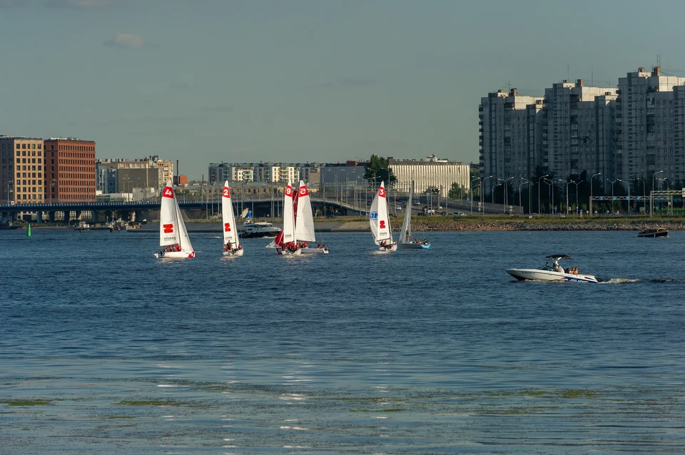 Восемь подростков спасли с яхт в Финском заливе