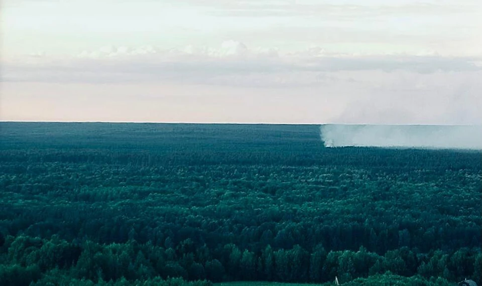 Два лесных пожара ликвидировали в Нижегородской области за сутки