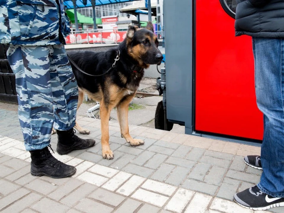 Количество случаев незаконного вмешательства в деятельность железнодорожного транспорта на МЖД за полгода 2021 года снизилось на 5%. Фото: пресс-служба МЖД.