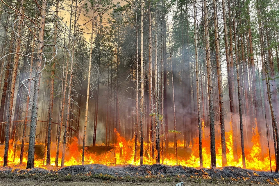 Водителей из Мурманской области просят воздержаться от поездок по федеральной трассе "Кола". Фото: Артур Парфенчиков / vk.com/aparfenchikov