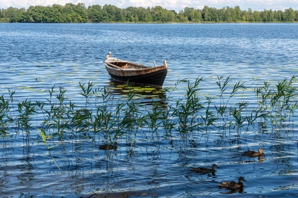 Уровень воды а Иртыше сейчас почти на 1,5 метра ниже нормы.