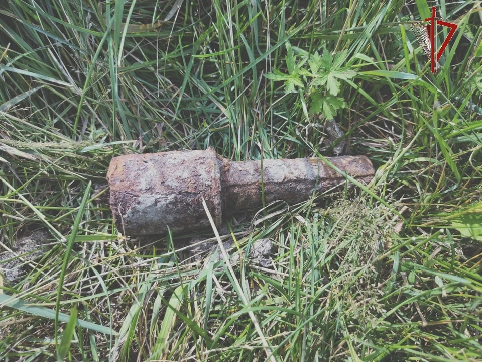 На берегу Иртыша омич нашел боевую гранату времен Отечественной Войны