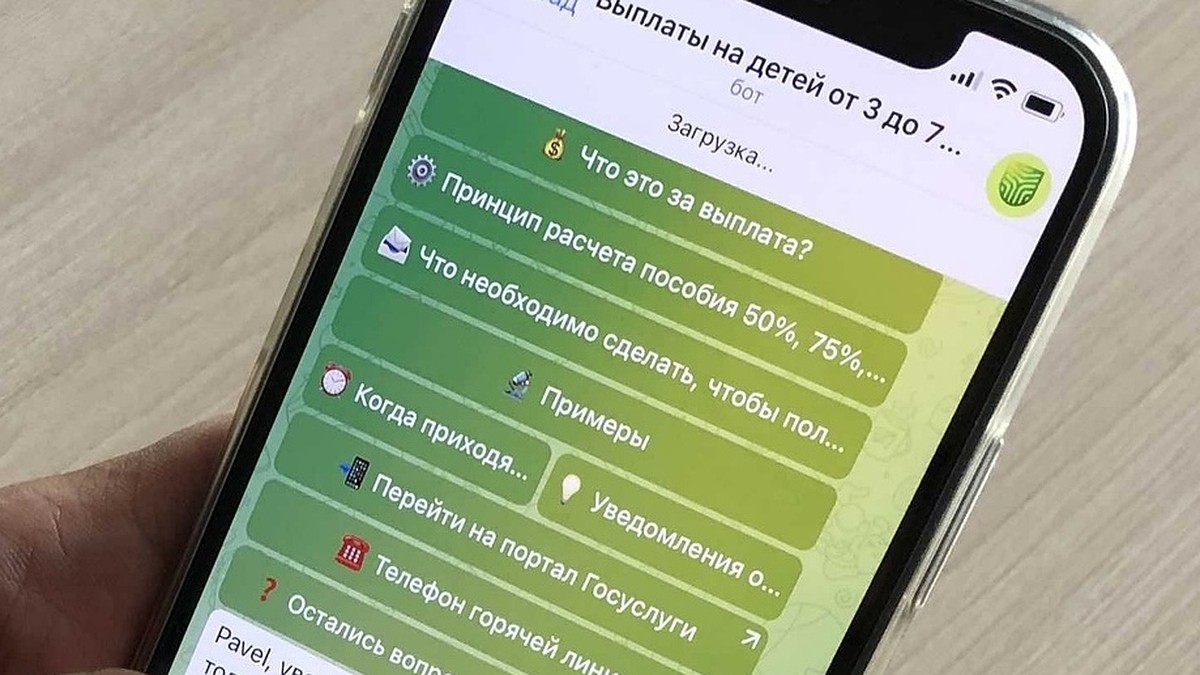 Рязанские чиновники запустили Telegram-бот по вопросам пособий - KP.RU