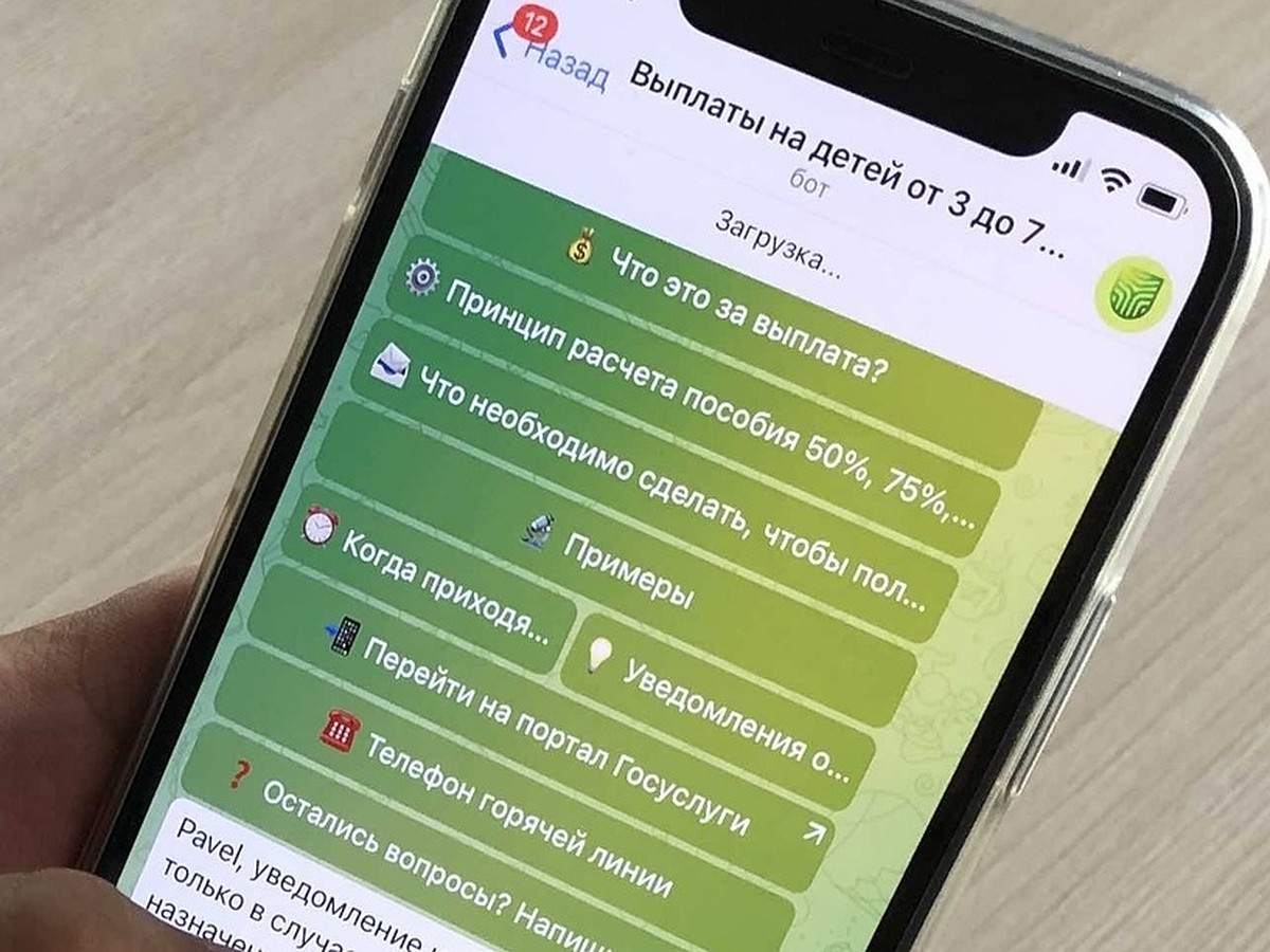 Рязанские чиновники запустили Telegram-бот по вопросам пособий - KP.RU