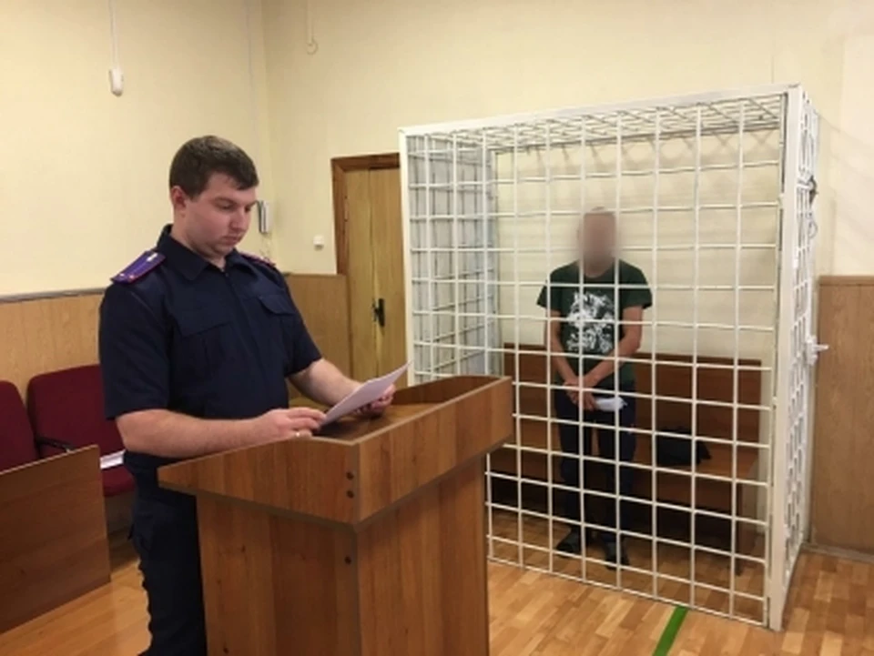 Мужчина признал вину
