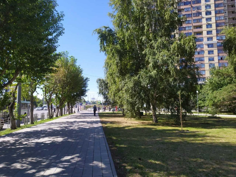 В Тюмени намечается самый жаркий день недели.