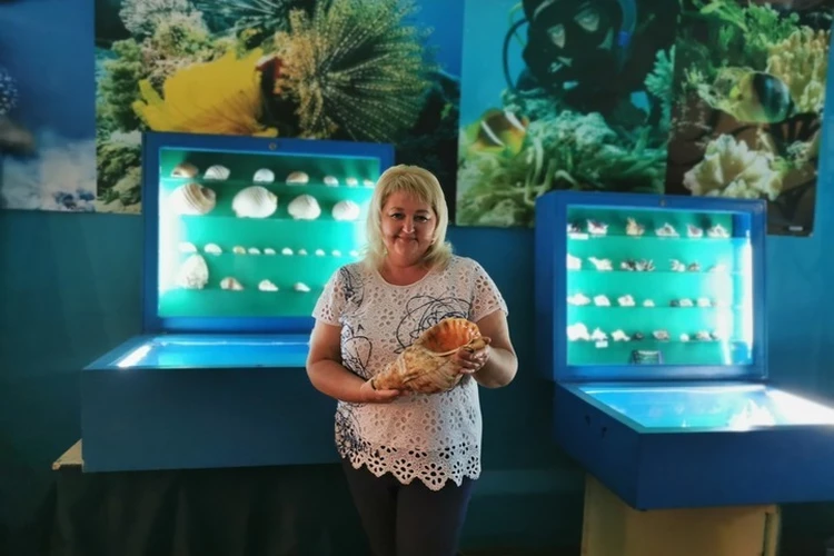 Уникальный музей моллюсков ждет вас в Зуевке: Древние мобилки, костяные боксерские перчатки и коварные Штирлицы подводного мира