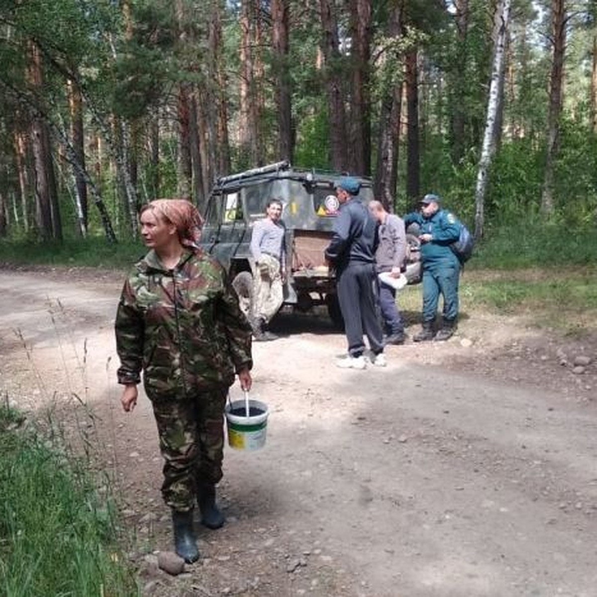 На Алтае женщина заблудилась в лесу и провела там ночь - KP.RU