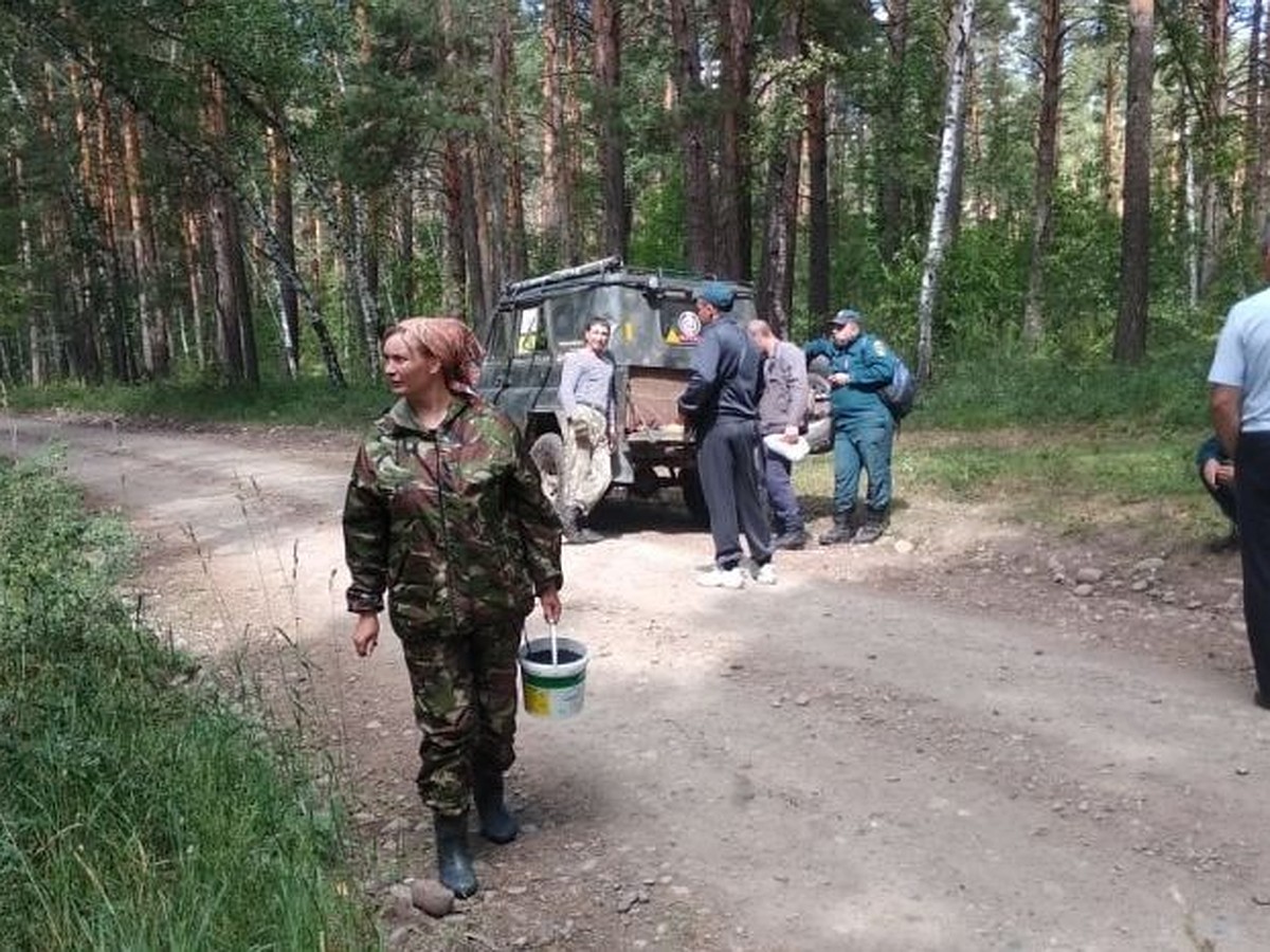 На Алтае женщина заблудилась в лесу и провела там ночь - KP.RU