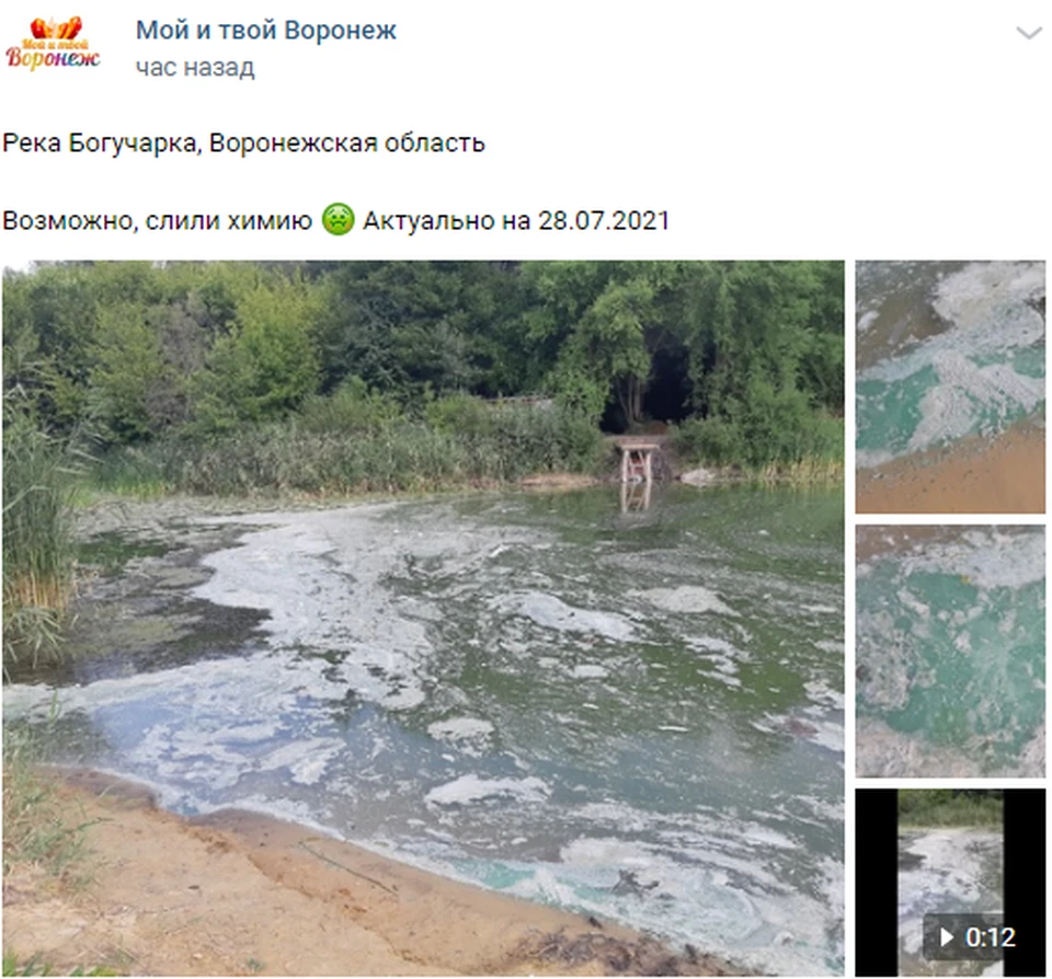 Так выглядела 28 июля река Богучарка.