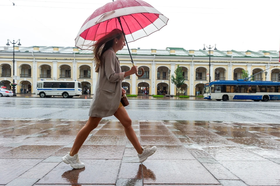 В Северную столицу пришли дожди.