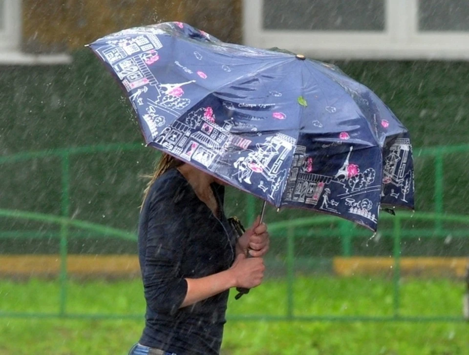 В воскресенье, 1 августа, в Пермском крае ожидаются дожди, грозы и сильный ветер.