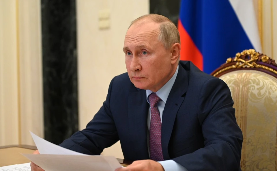 Владимир Путин осмотрел пострадавшие от лесных пожаров районы Челябинской области