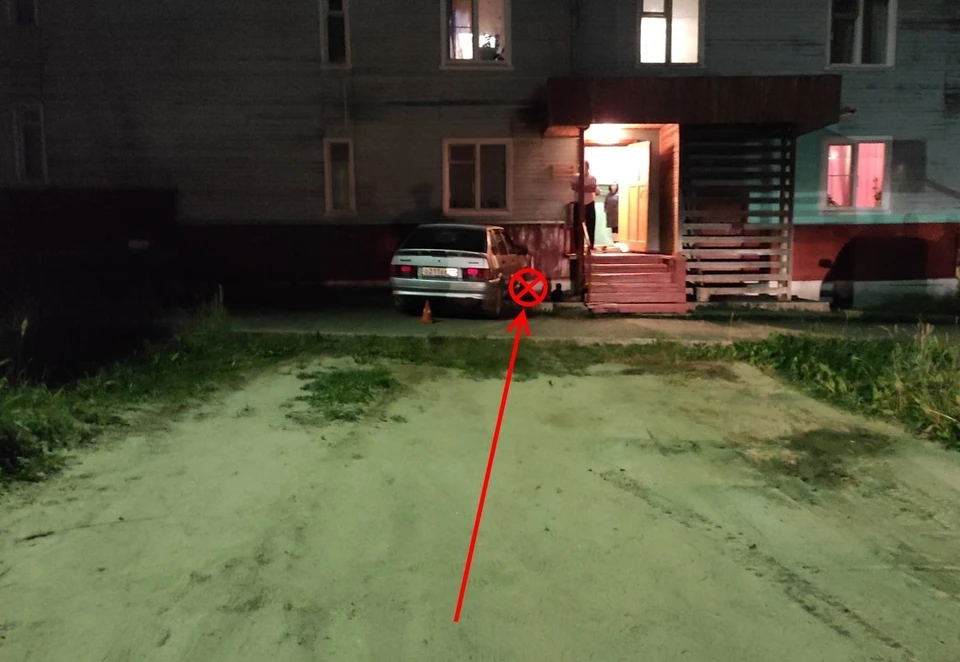 Фото: управление ГИБДД по Коми