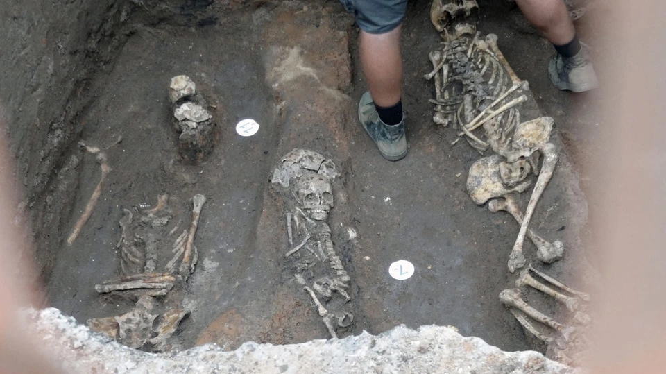 Скелеты трёх человек случайно откопали арзамасские коммунальщики. ФОТО: Нижний Новгород |БЕЗ ЦЕНЗУРЫ|