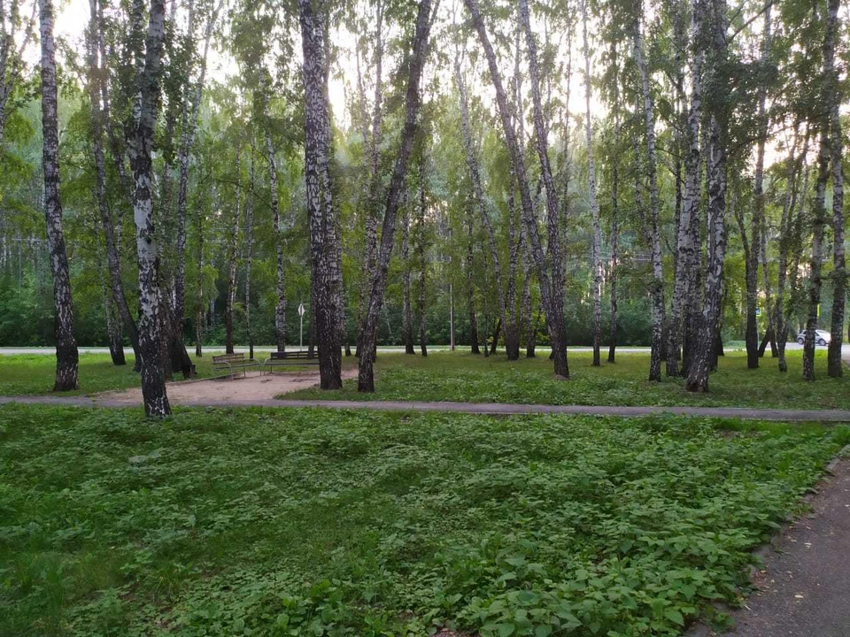 На Ямале плюс 22.