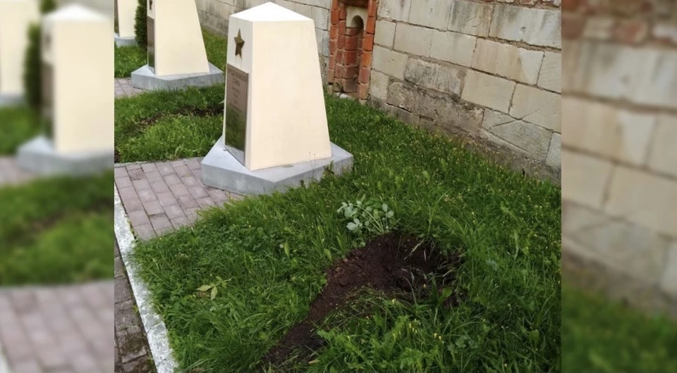 Неизвестные выкопали ночью две туи в сквере Памяти героев в Смоленске. Фото: пресс-служба администрации города Смоленска.