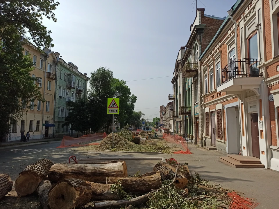 Вырубка деревьев для замены теплотрассы привела к конфликту между жителями, районной администрацией и ресурсоснабжающей организацией