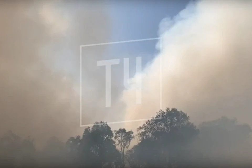 Из-за жары сухая трава загорается мгновенно