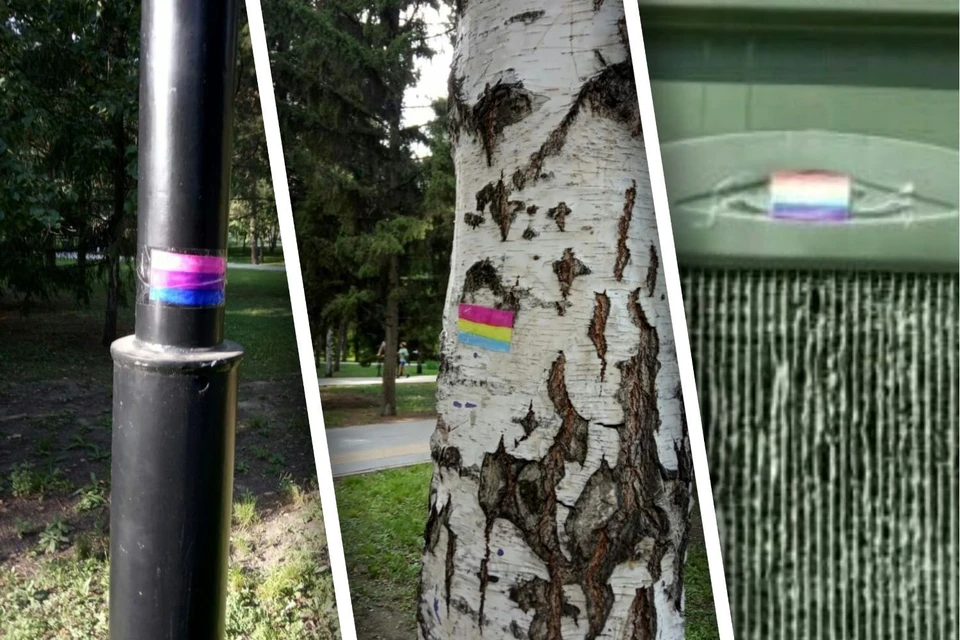 С понедельника в Новосибирске стартует «Неделя против гомофобии» - Сибновости