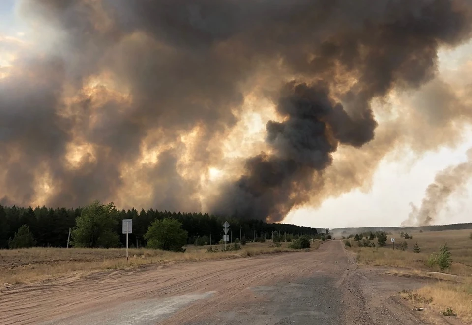 Пожар может уничтожить национальный парк на границе Самарской и Оренбургской областей