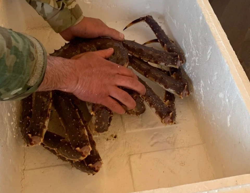 Краб Юрий окончил политическую карьеру и вернулся домой. Фото: instagram.com/yura_the_crab/