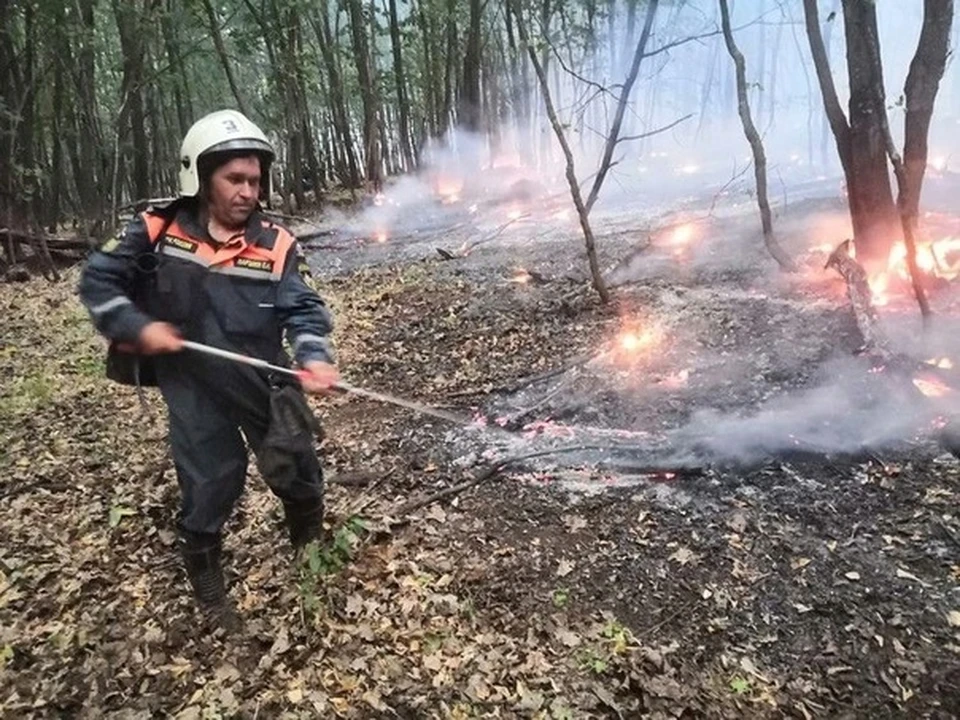 Пожарные уже двое суткок борются с огнем