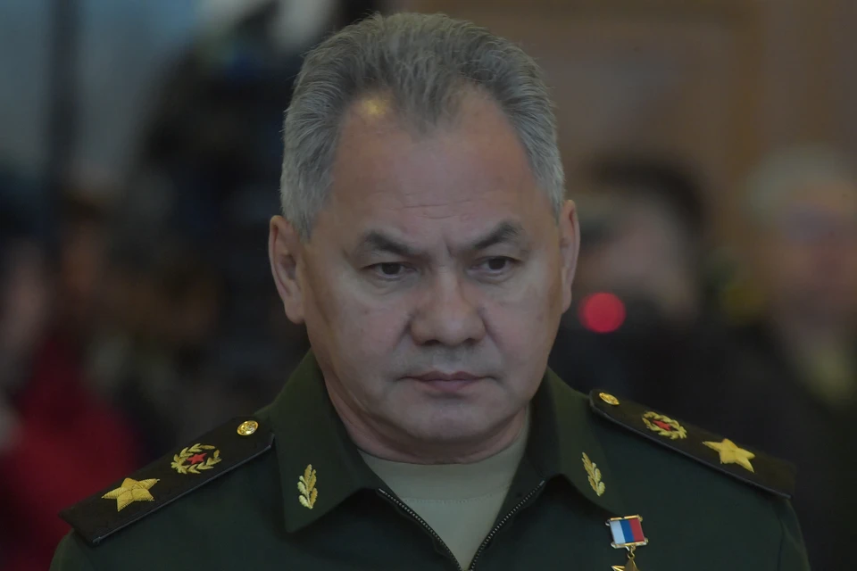 Шойгу провел переговоры с главой Минобороны Египта