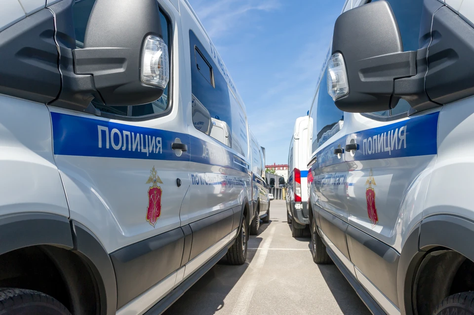 Полиция поймала налетчиков, вломившихся в квартиру к жителю Петербурга.