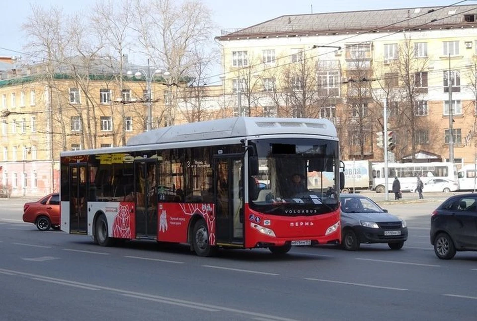 Автобусы в перми фото