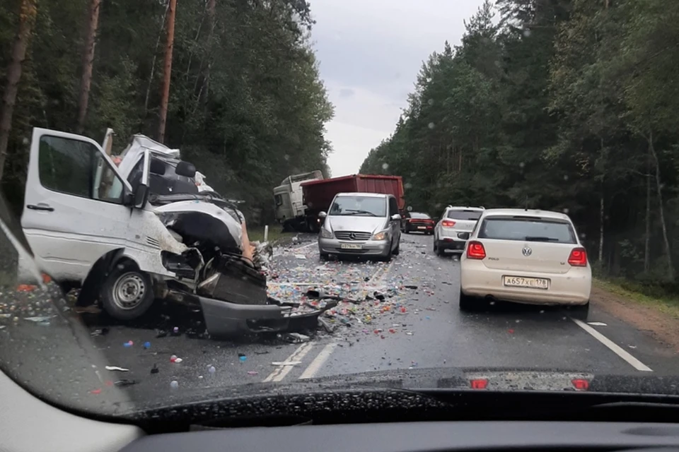 Смертельное ДТП микроавтобуса и фуры произошло во Всеволожском районе Ленобласти. Фото: vk.com/anastasiakraineva / vk.com/spb_today