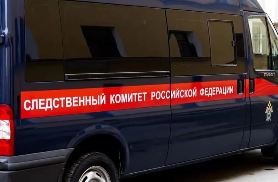 Пермяк получил 8 лет колонии строгого режима.