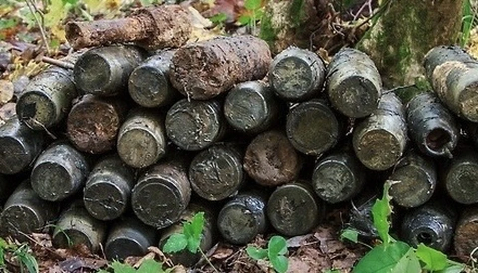Авиабомбу и 36 артиллерийских снарядов нашли под Смоленском. Фото: пресс-служба ГУ МЧС по Смоленской области.