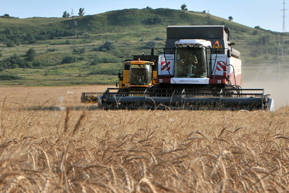 К этому времени фермеры уже намолотили 375 500 тонн зерна и бобовых культур