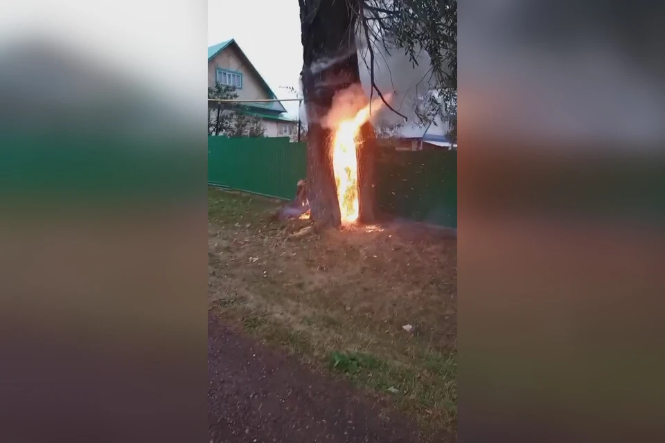 Фото: Соцсети