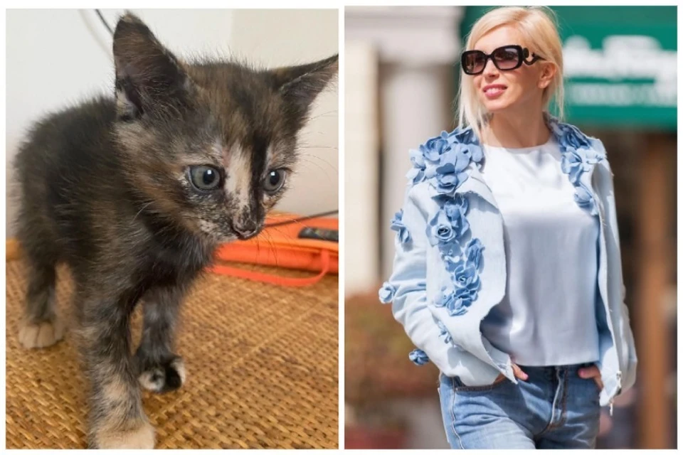 Алена Свиридова любит животных и хочет котятам найти заботливых хозяев. Фото: alenasviridova/Instagram