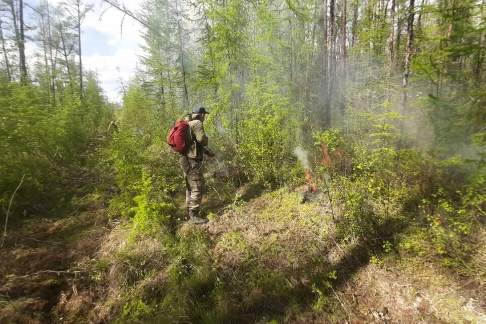 В Якутии ликвидировал лесной пожар на площади 113 гектаров ФОТО: правительство Республики Саха (Якутия)