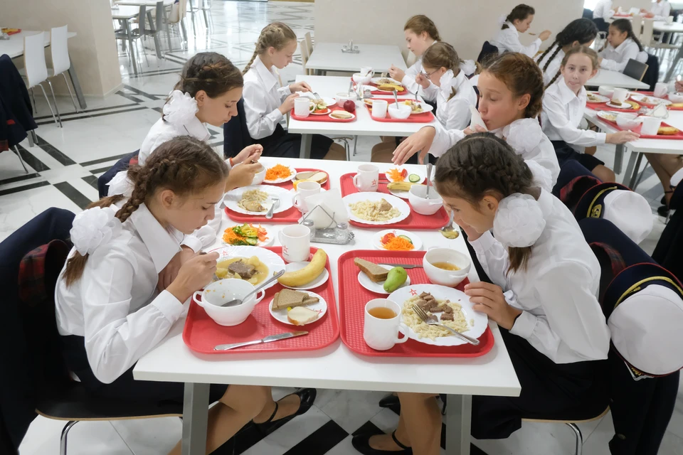 В Петербурге запустили "горячую линию" по вопросам школьного питания