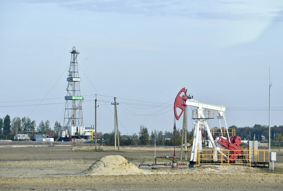 На Среднем Урале обнаружили запасы 10 тысяч тонн нефти.