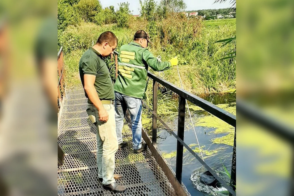 Пробы были взяты в трех местах