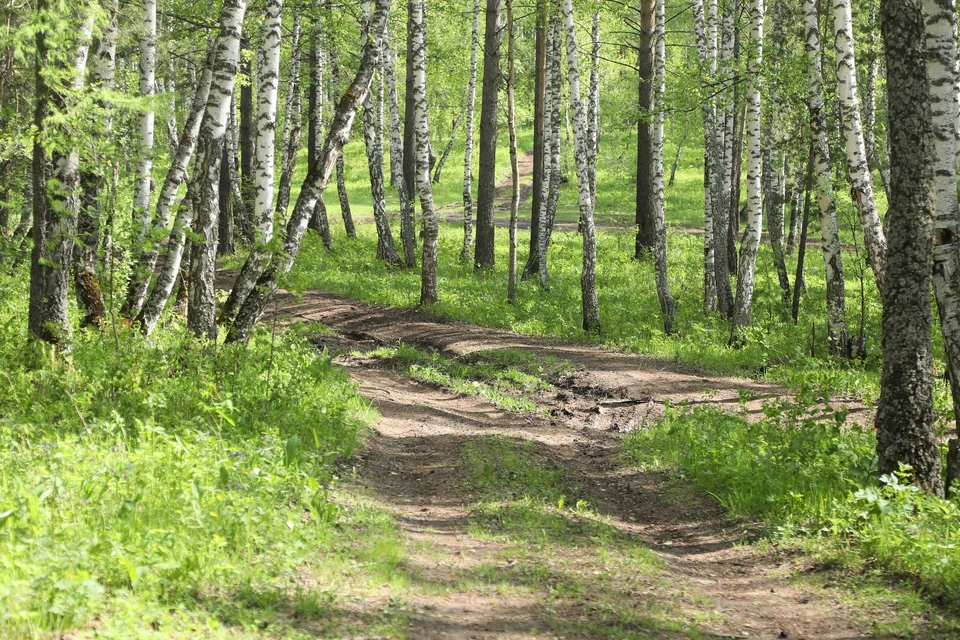 В Красноярске школьница случайно погибла, пытаясь сделать фото