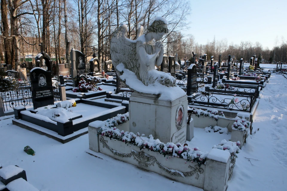 Умерших во Львовской области начали хоронить на огородах из-за коронавируса
