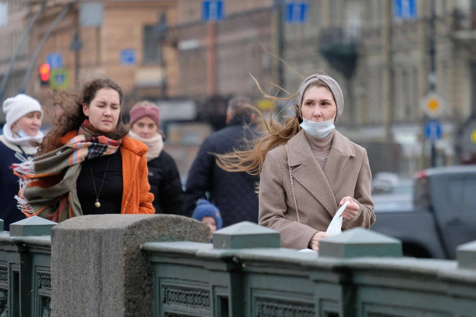 МЧС предупредило о сильном ветре в Петербурге 14 сентября
