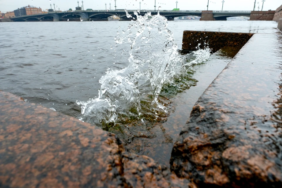 Уровень воды в Неве за час поднялся на 10 см